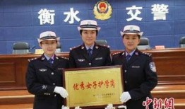 衡水公安最新爆料,揭秘重大案件背后惊人内幕